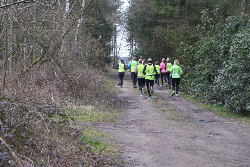 Bosloop Brecht - 33